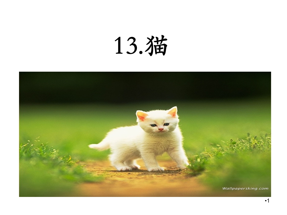 部编版四年级语文下册《13猫》ppt课件.ppt_第1页