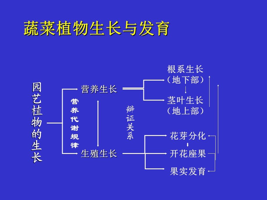 蔬菜生长发育特性精选 ppt课件.ppt_第3页