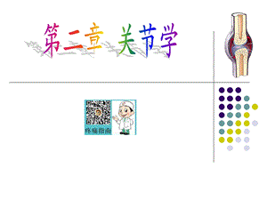 解剖关节学ppt课件(全部).ppt