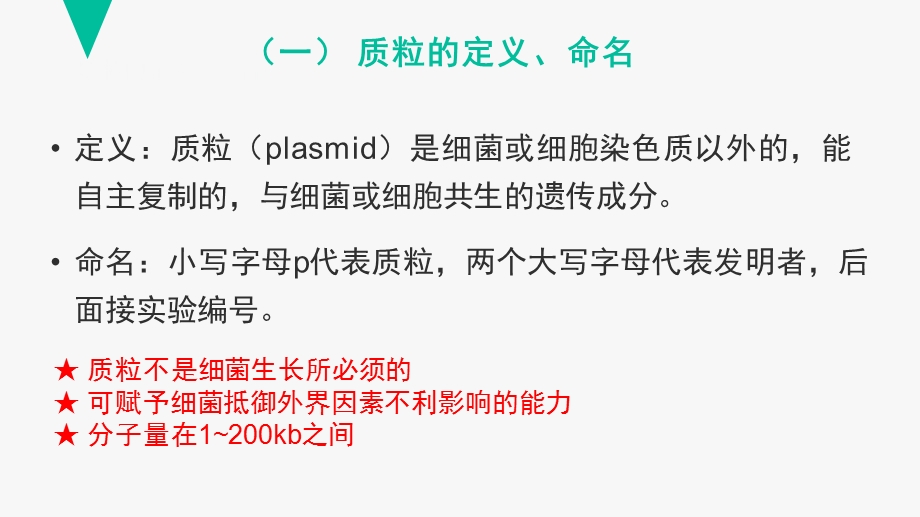 质粒载体的概况及构建ppt课件.pptx_第3页