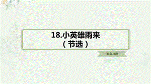 部编人教版四年级下册语文第18课小英雄雨来（节选）重点习题练习ppt课件.ppt