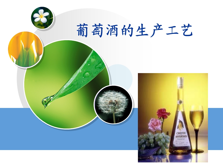 葡萄酒的生产工艺ppt课件.ppt_第1页