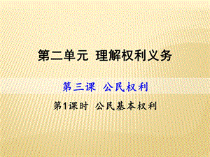 部编版八下公民的基本权利ppt课件.ppt