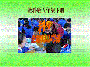 教科版五年级下册科学全册ppt课件.ppt