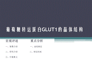 葡萄糖转运蛋白GLUT体结构的总结报告ppt课件.pptx