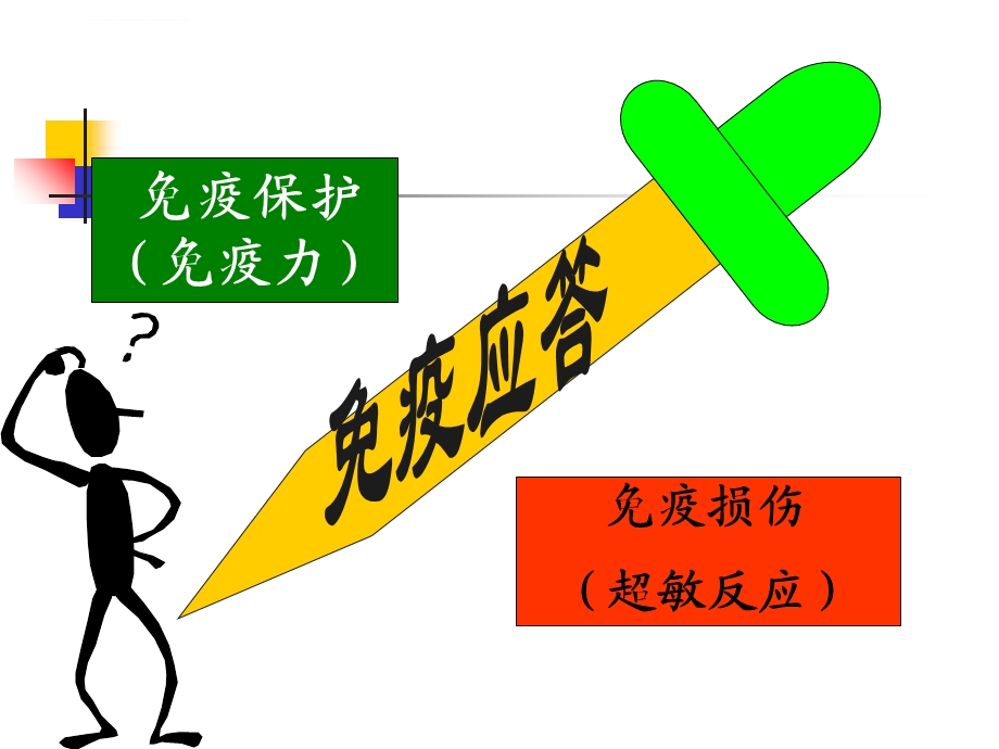 超敏反应课程ppt课件.ppt_第3页