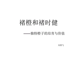 褚橙和褚时键ppt课件.ppt