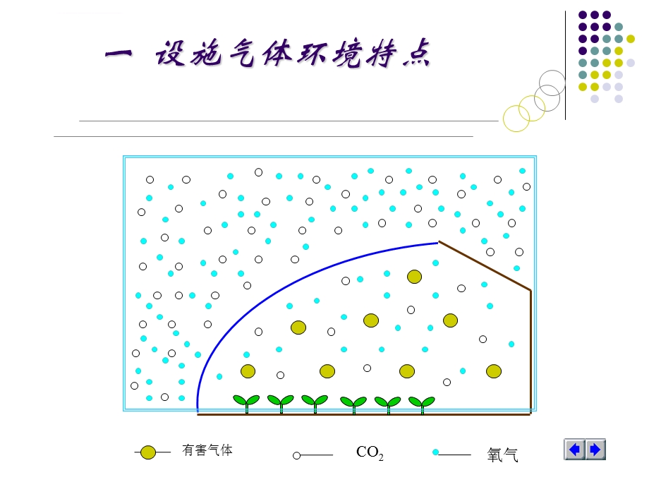 设施内气体的特点与调控ppt课件.ppt_第3页