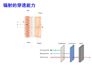 闪烁探测器深入分析ppt课件.ppt