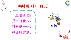 部编三下 14 蜜蜂ppt课件.ppt