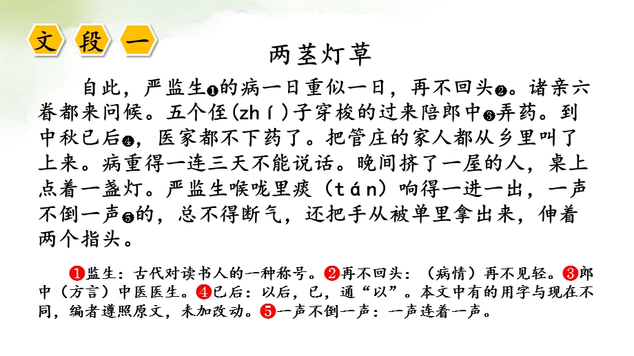 部编版五年级下册《两茎灯草》ppt课件.pptx_第3页