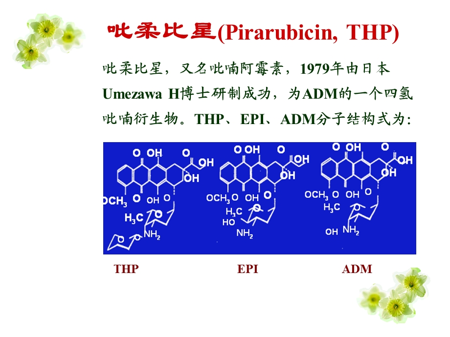 蒽环类药物基本知识ppt课件.ppt_第3页