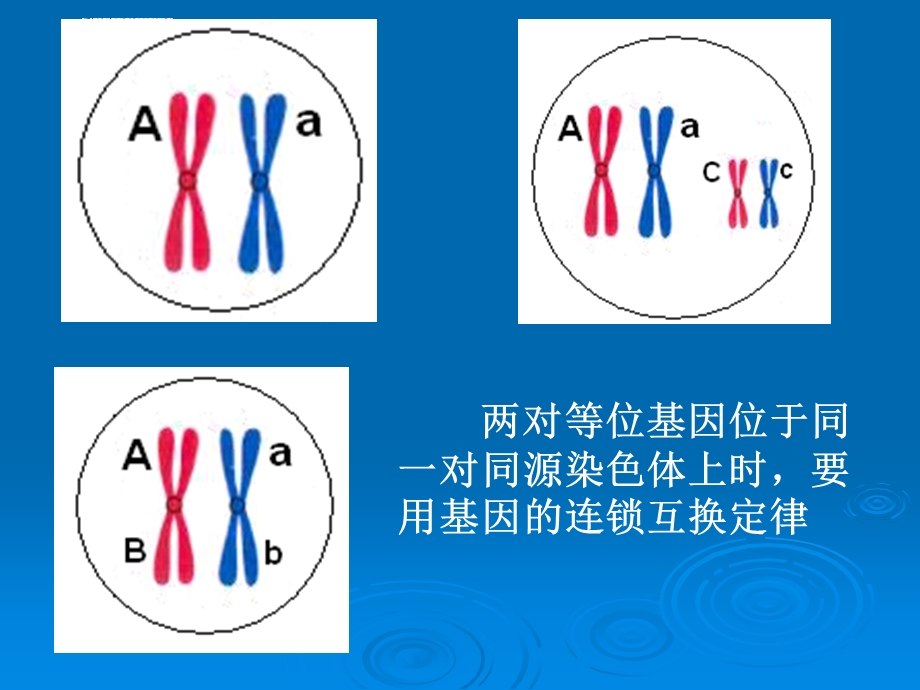 连锁互换定律ppt课件.ppt_第2页