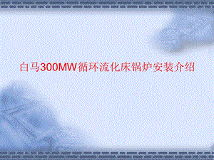 白马300MW循环流化床锅炉介绍ppt课件.ppt