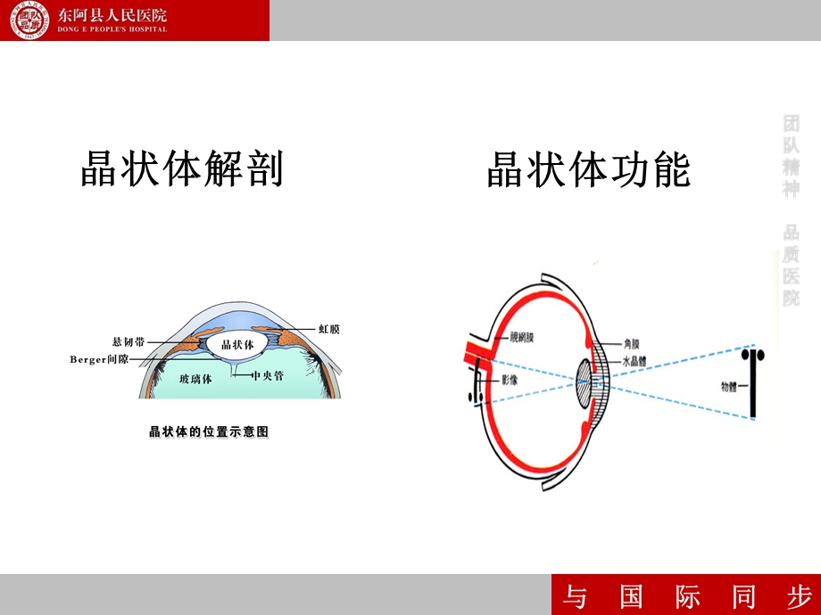 眼科学晶状体病课件.ppt_第2页