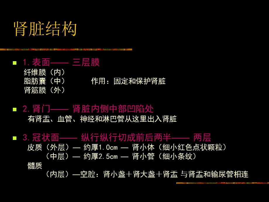 急性肾功能衰竭护理课件.ppt_第2页