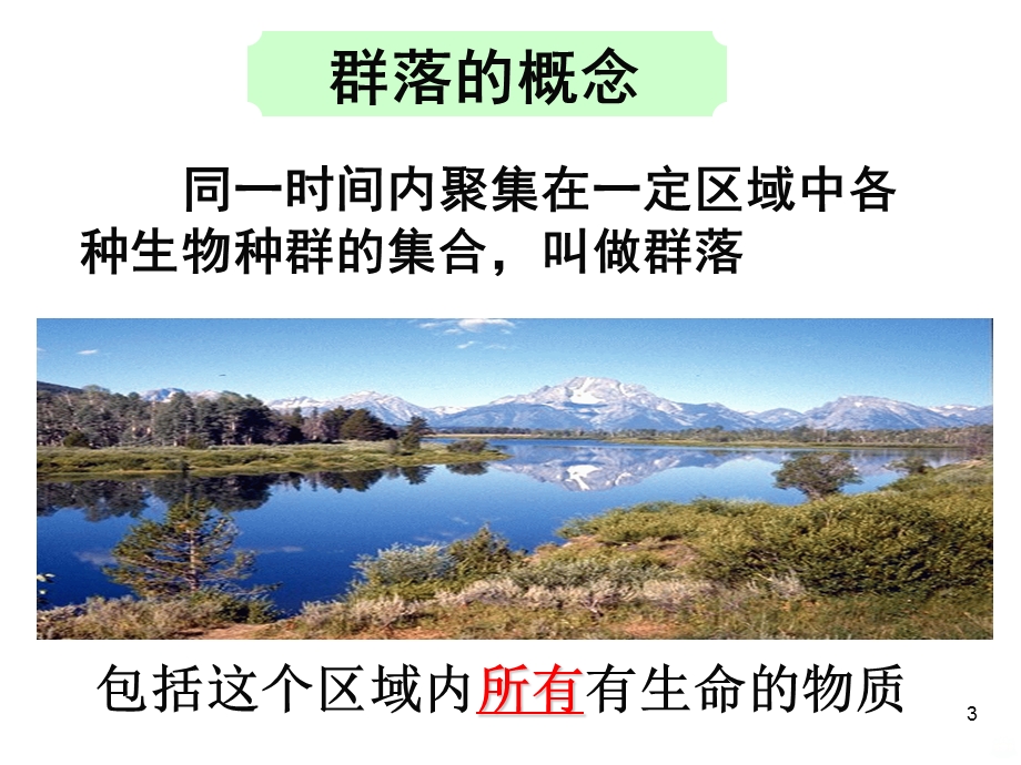 群落的结构终结课件.ppt_第3页