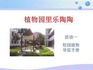 校园植物导览手册课件.ppt