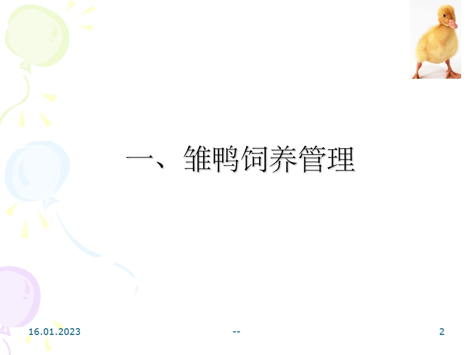 《养鸭技术》课件.ppt_第2页