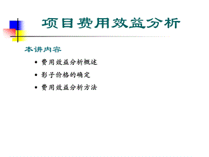 项目费用效益分析ppt课件.ppt