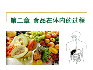 食品营养ppt课件第二章 食品在体内的过程.ppt