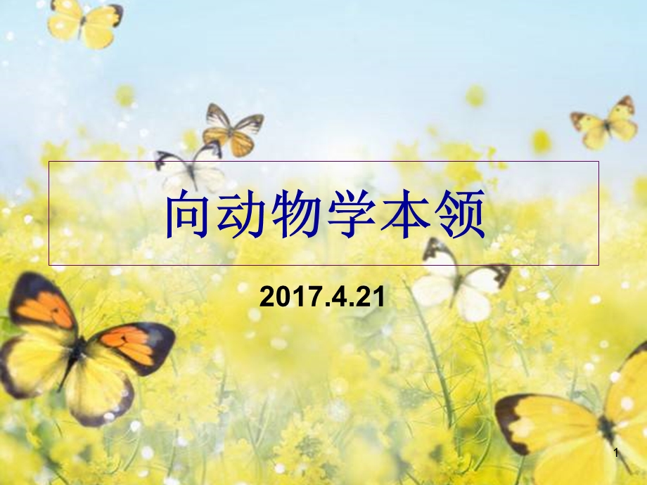 动物给我们的启示课件.ppt_第1页