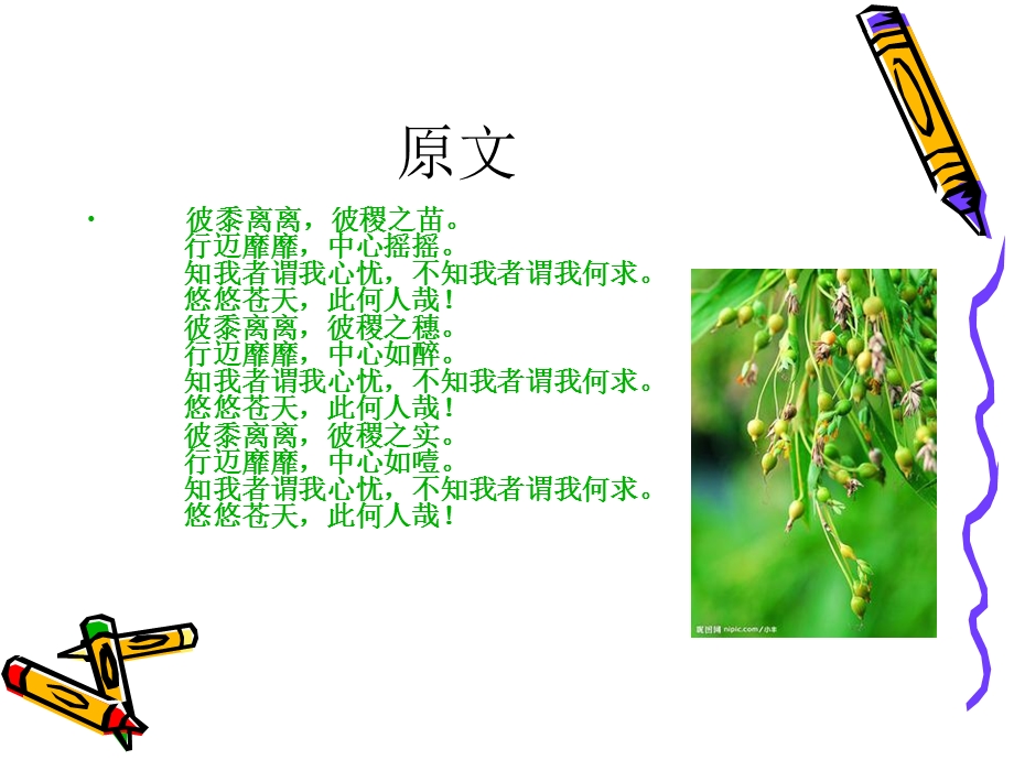 彼黍离离彼稷之苗诗经课件.ppt_第3页