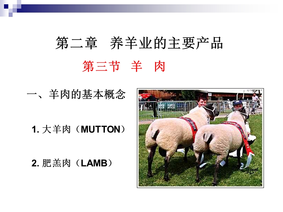 第二章：羊肉课件.ppt_第1页