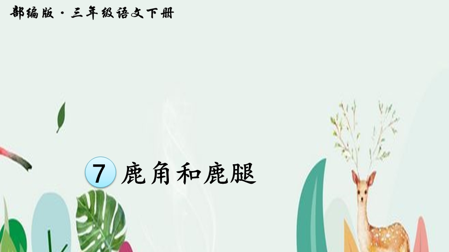 鹿角和鹿腿ppt课件.ppt_第3页