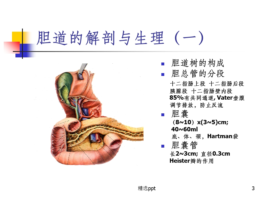 《胆道疾病》课件.ppt_第3页