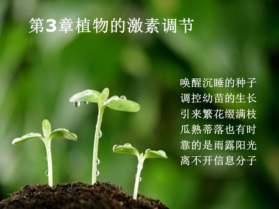 植物生长素的发现2018课件.ppt_第1页