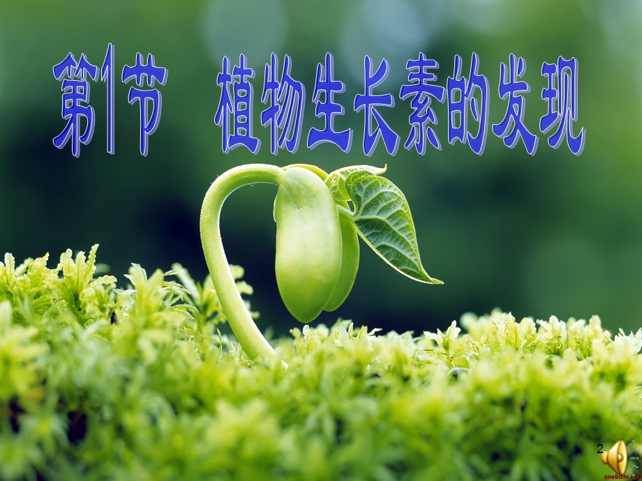 植物生长素的发现2018课件.ppt_第2页