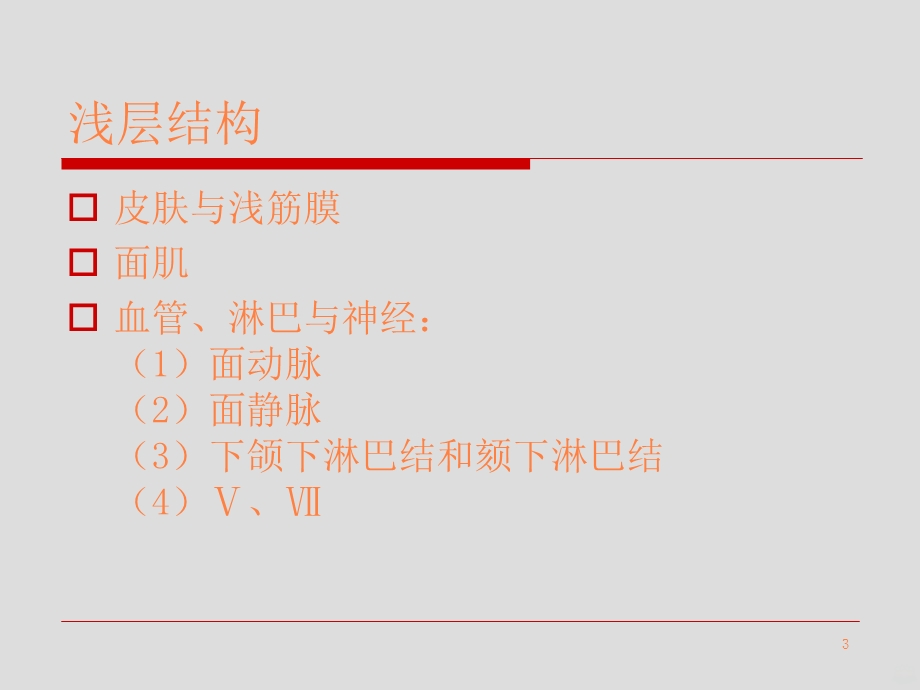 局部解剖学面部课件.ppt_第3页