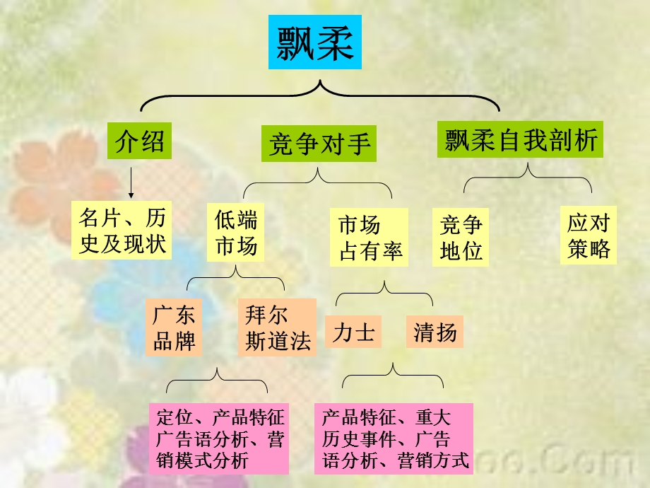 飘柔 竞争对手分析ppt课件.ppt_第2页