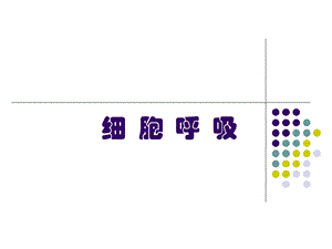 高三一轮复习 呼吸作用ppt课件.ppt