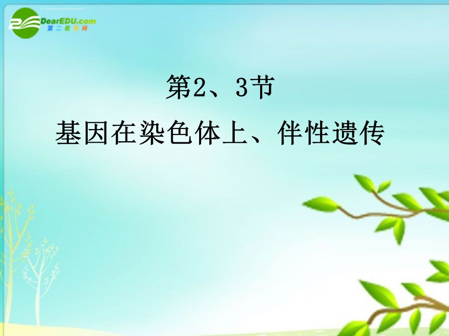 高一生物一轮复习专辑 基因在染色体上、伴性遗传ppt课件.ppt_第1页