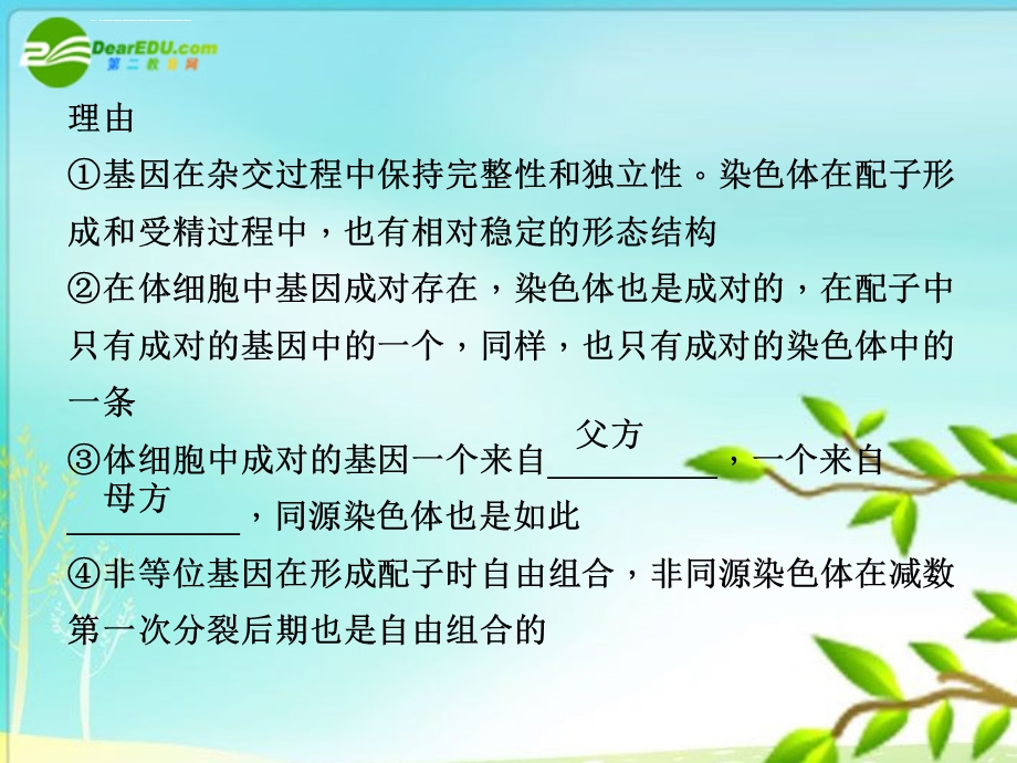 高一生物一轮复习专辑 基因在染色体上、伴性遗传ppt课件.ppt_第3页