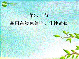 高一生物一轮复习专辑 基因在染色体上、伴性遗传ppt课件.ppt