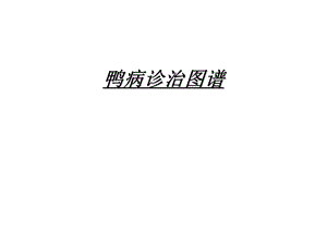 鸭病解剖图谱ppt课件.ppt