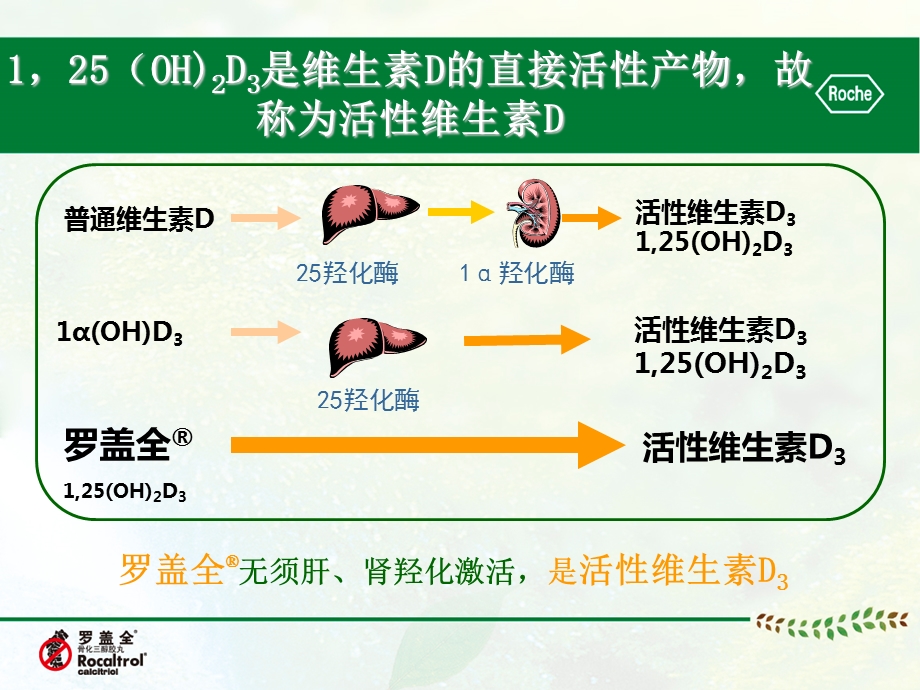 同D不同质不同维生素D制剂的区别PPT课件.ppt_第3页