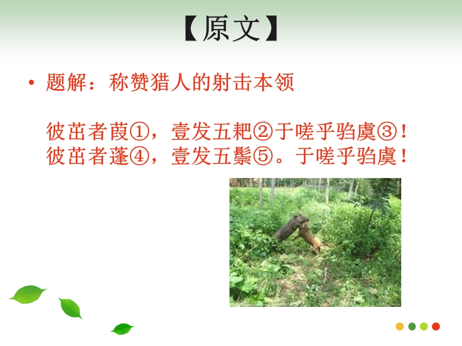 于嗟乎驺虞彼茁者蓬驺虞诗经课件.ppt_第2页