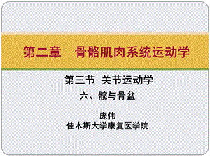 关节运动学、髋与骨盆主题讲座ppt课件.ppt