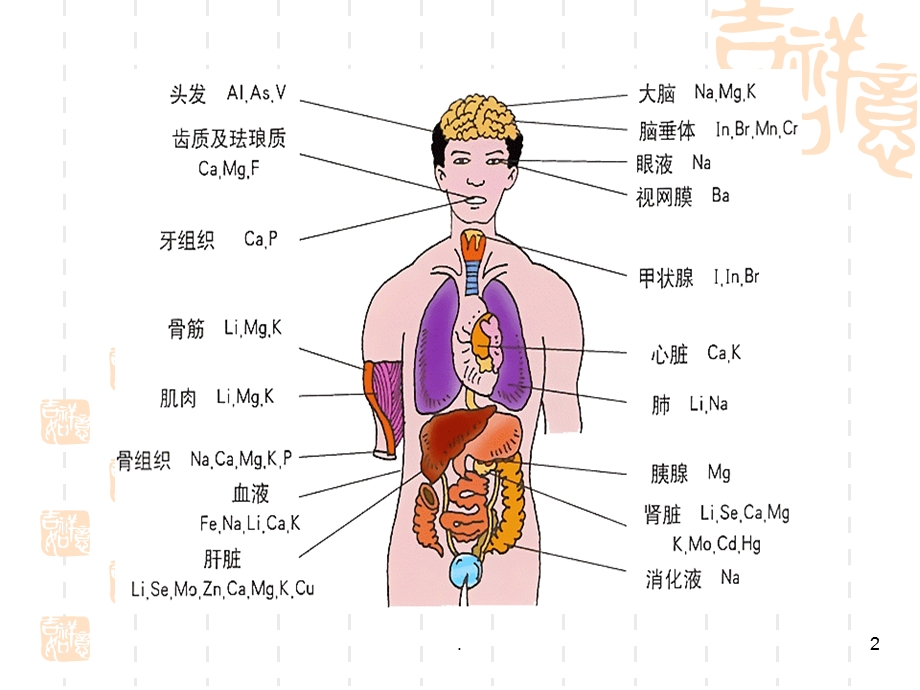 我们的身体与细胞课件.ppt_第2页