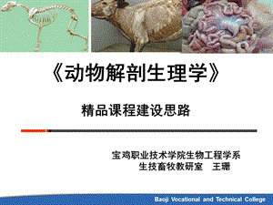 动物解剖生理学课件.ppt