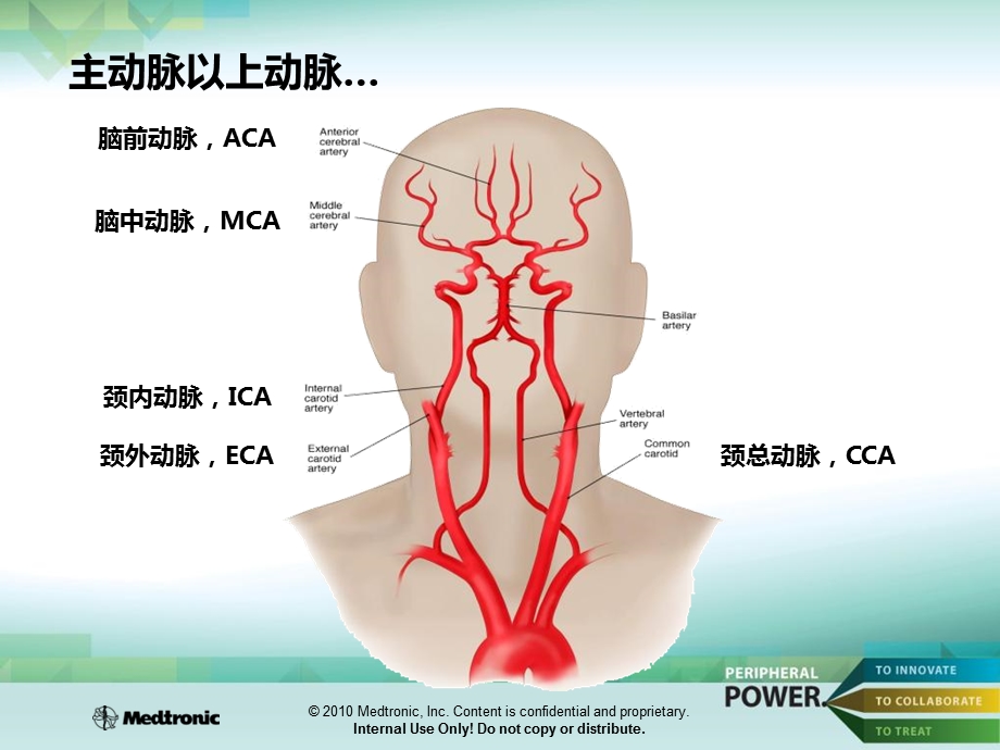 人体动脉血管系统课件.ppt_第3页