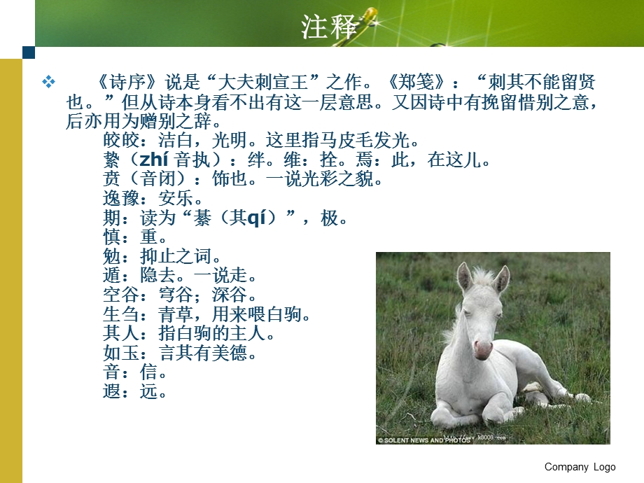 皎皎白驹贲然来思尔公尔侯鸿雁白驹诗经课件.ppt_第3页