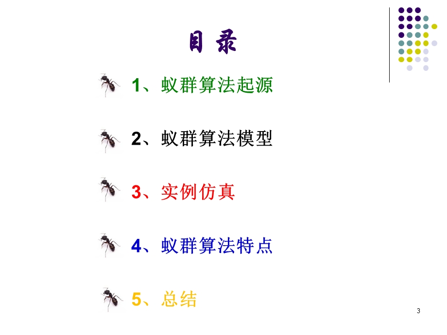 第5章蚁群算法课件.ppt_第3页