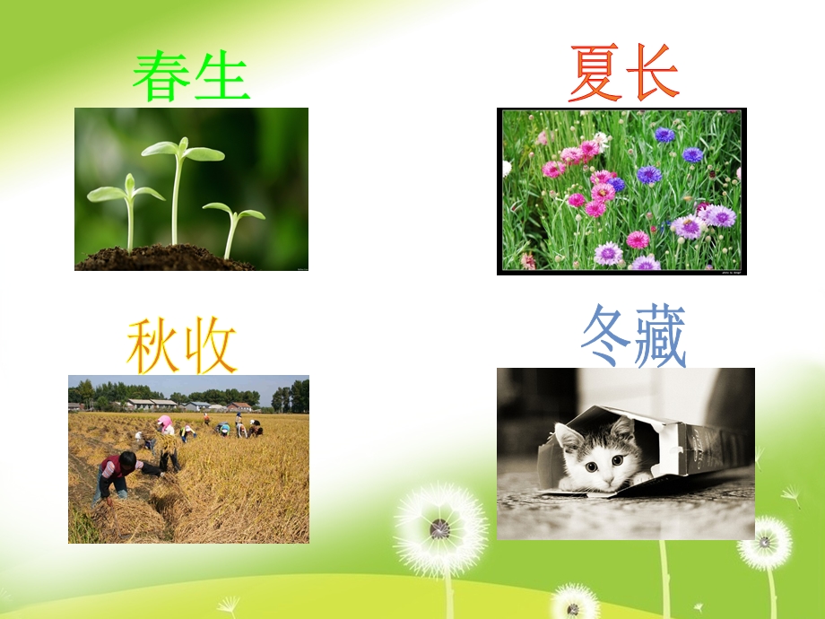 夏季养生ppt课件.ppt_第1页