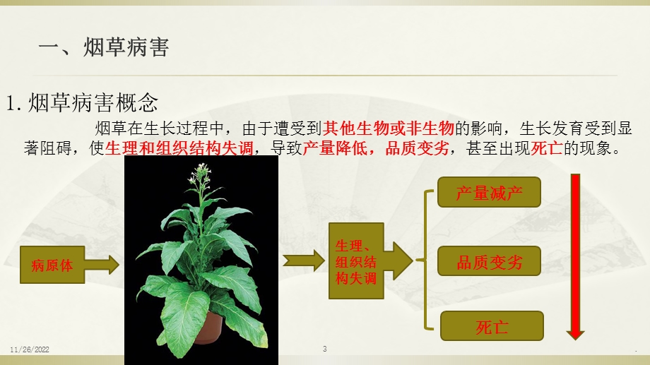 病虫害防治课件.pptx_第3页