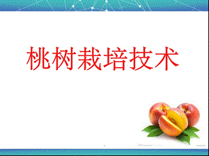 桃树栽培技术课件.ppt